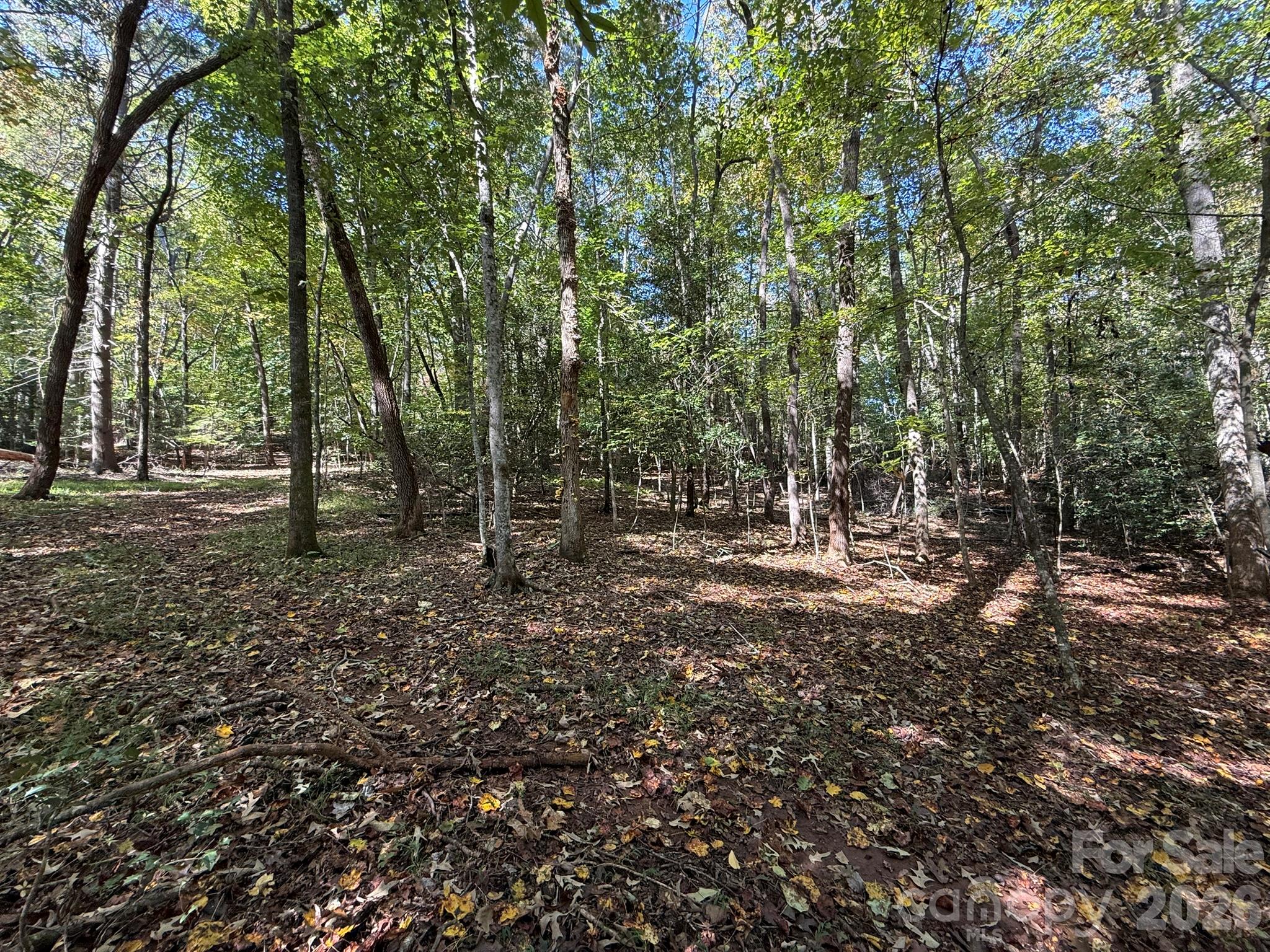 Acreage at V/L Secluded Circle, Marion, photo 37 of 48