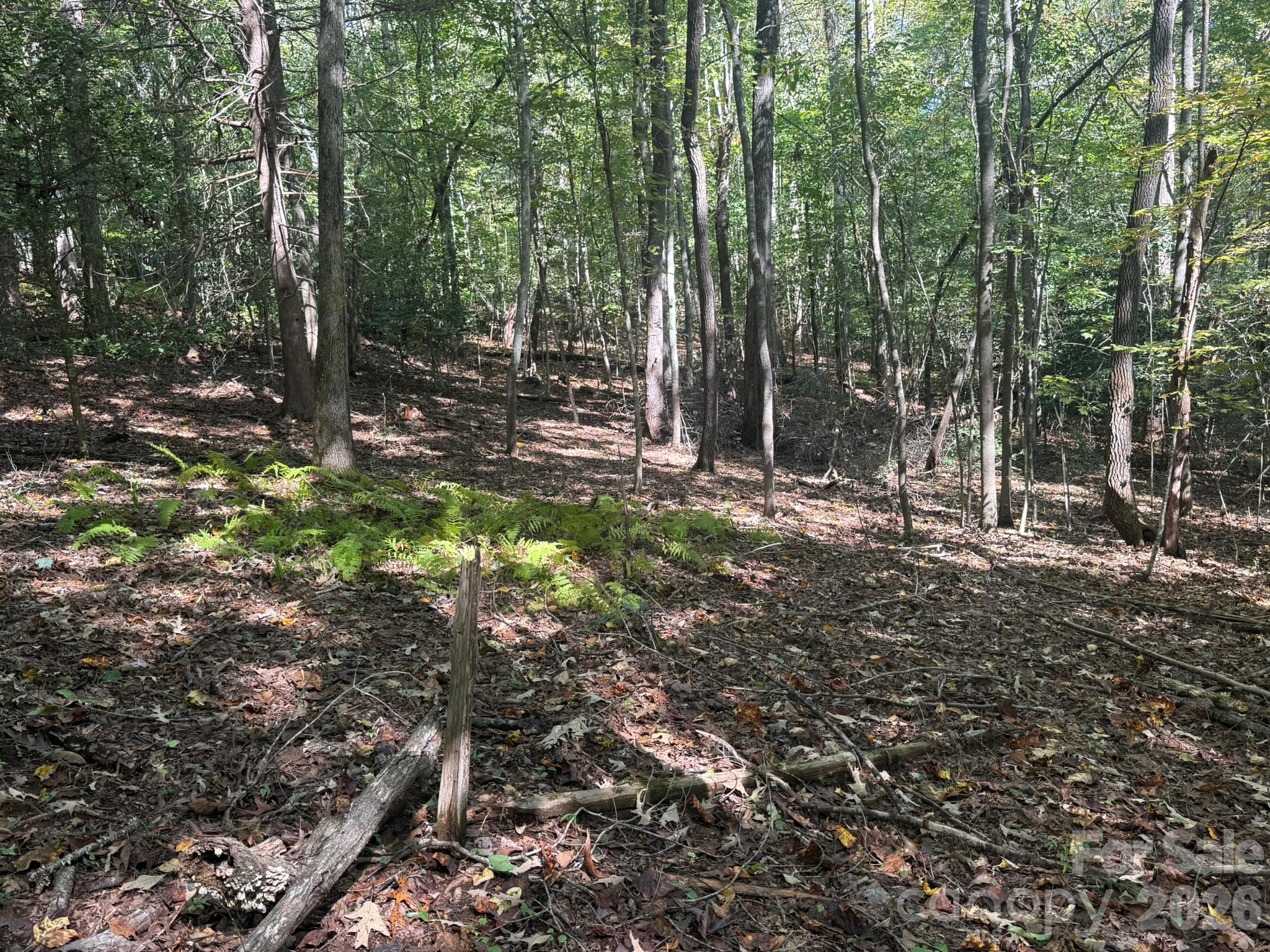 Slope of Lot 26 - V/L Secluded Circle, Marion