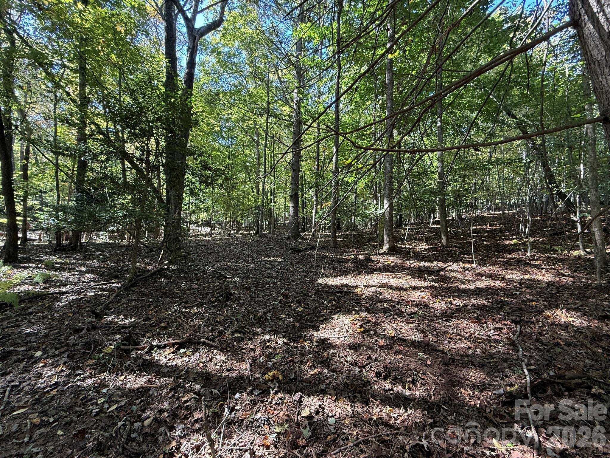 Acreage at V/L Secluded Circle, Marion, photo 43 of 48