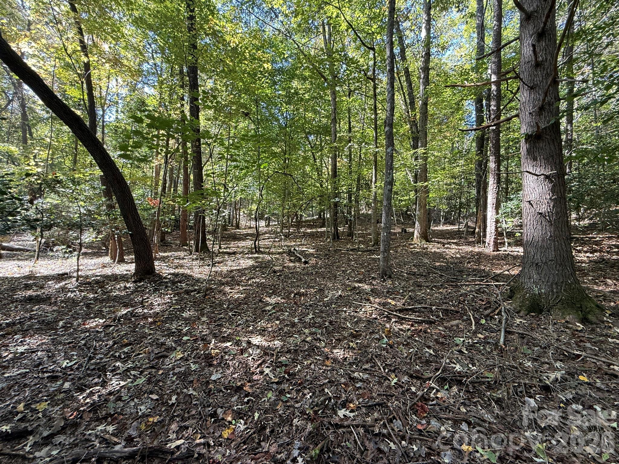 Acreage at V/L Secluded Circle, Marion, photo 44 of 48