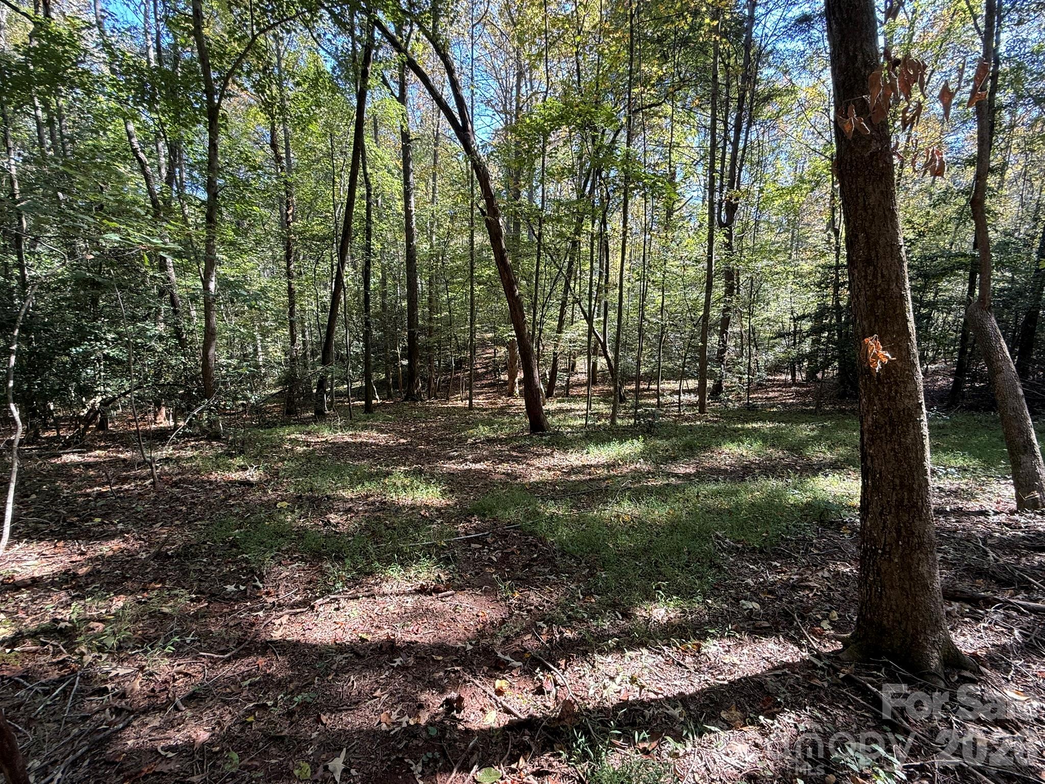 Acreage at V/L Secluded Circle, Marion, photo 45 of 48