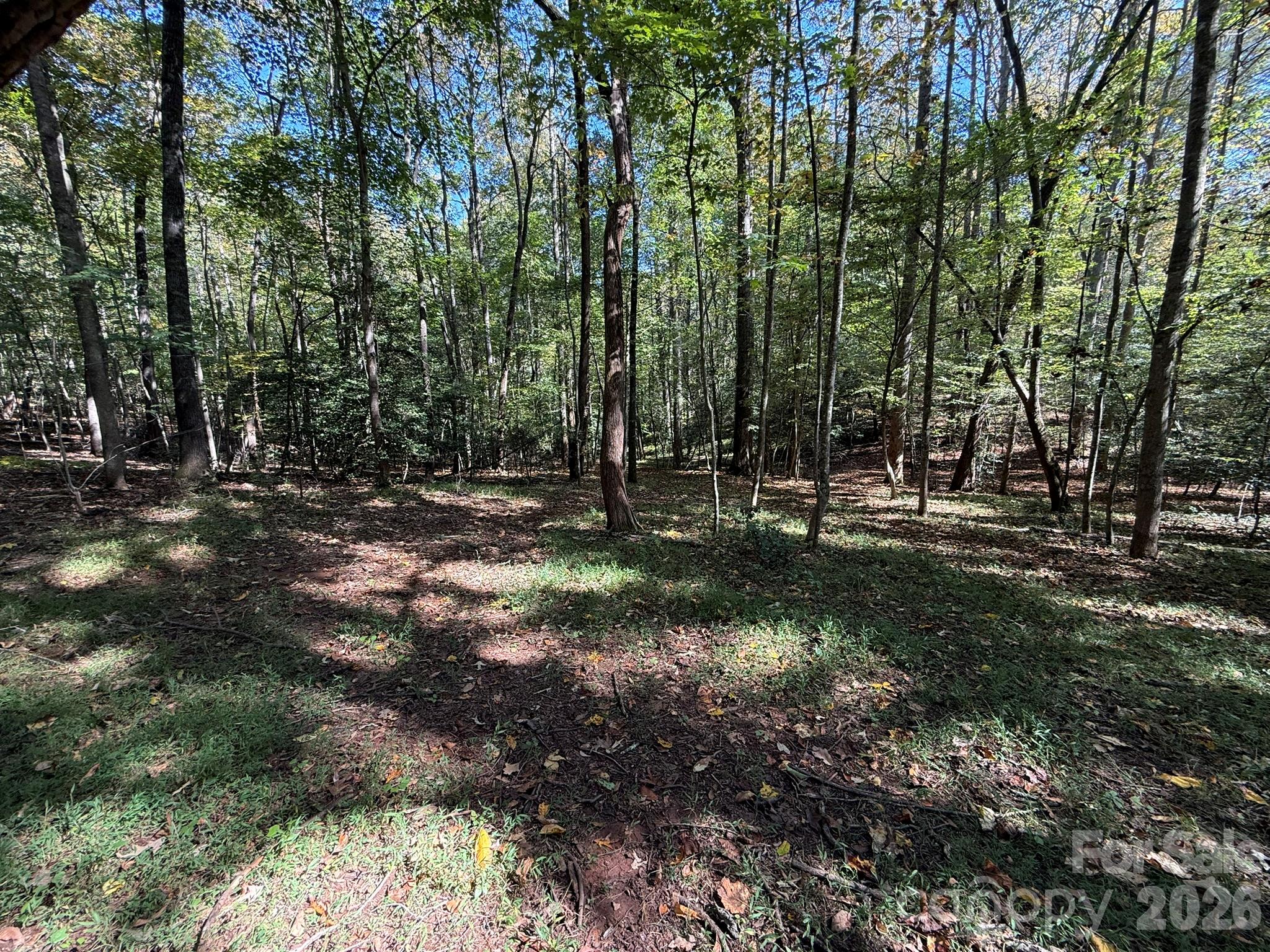 Acreage at V/L Secluded Circle, Marion, photo 46 of 48