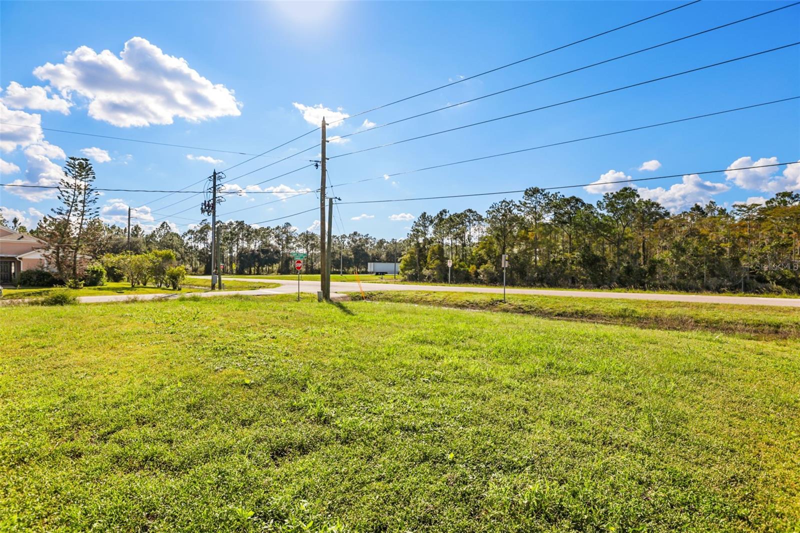 Spacious backyard/ corner lot - 1101 SAINT TROPEZ CT, KISSIMMEE