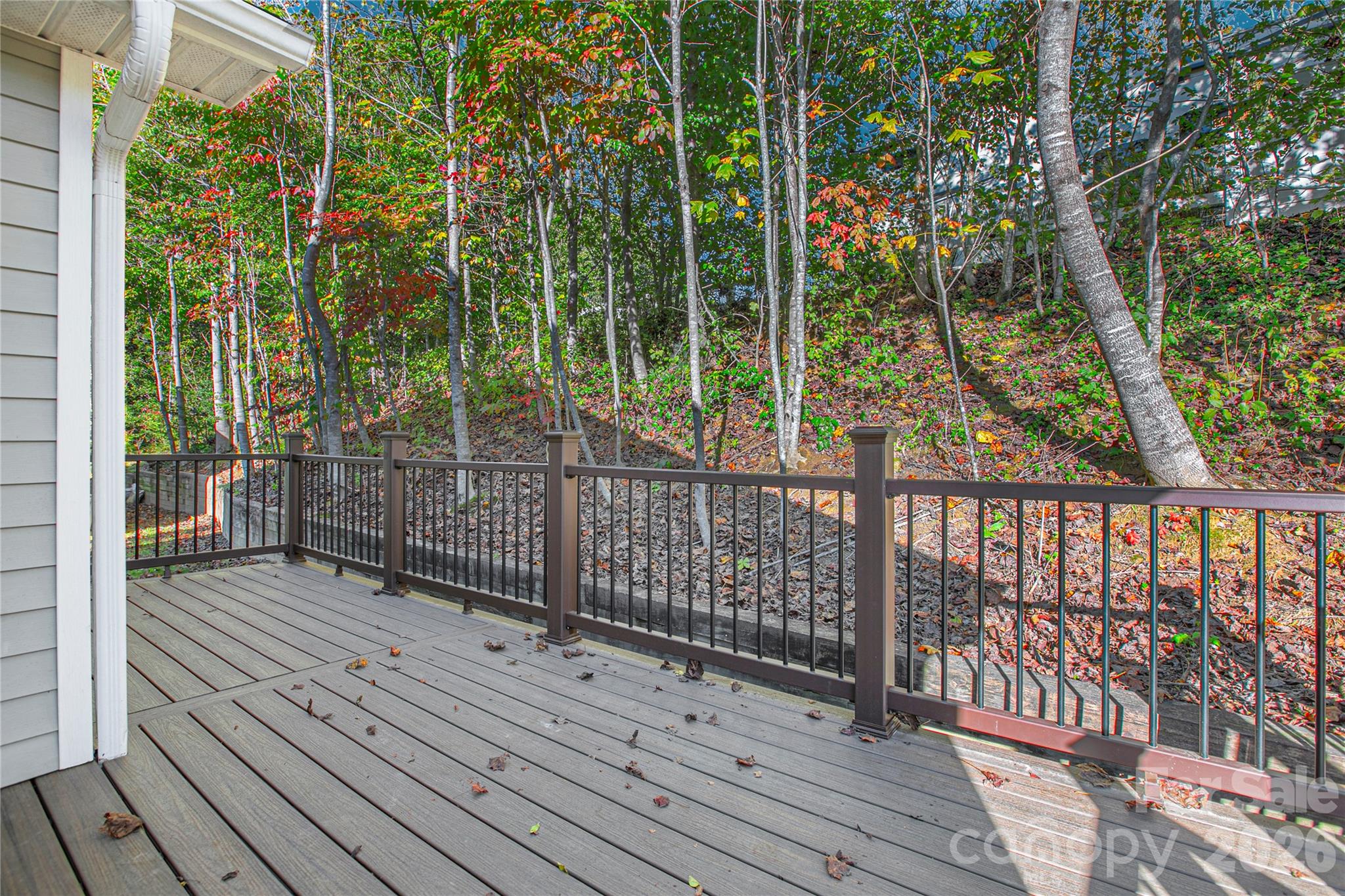 Single Family Residence at 88 E Danbury Lane, Brevard, photo 34 of 48