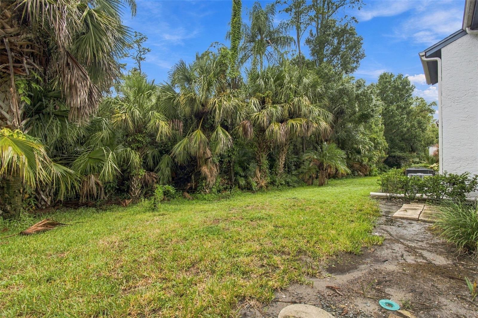 Condominium at 131 CYPRESS LN #131, OLDSMAR, photo 34 of 77