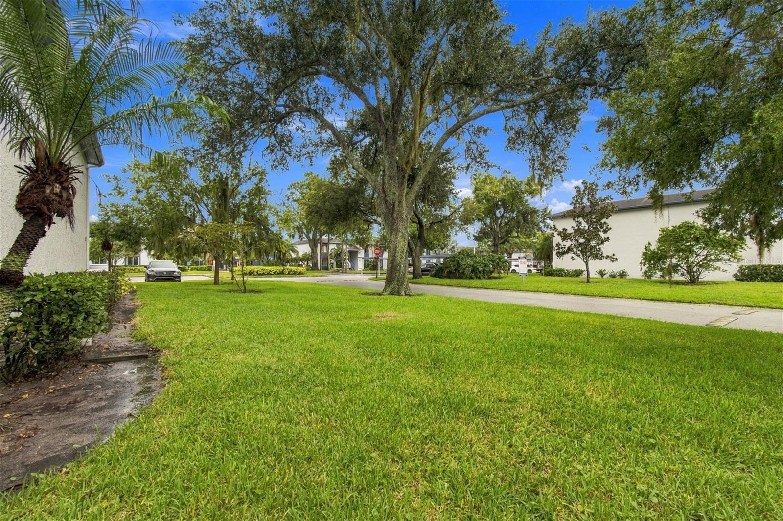 Condominium at 131 CYPRESS LN #131, OLDSMAR, photo 39 of 77