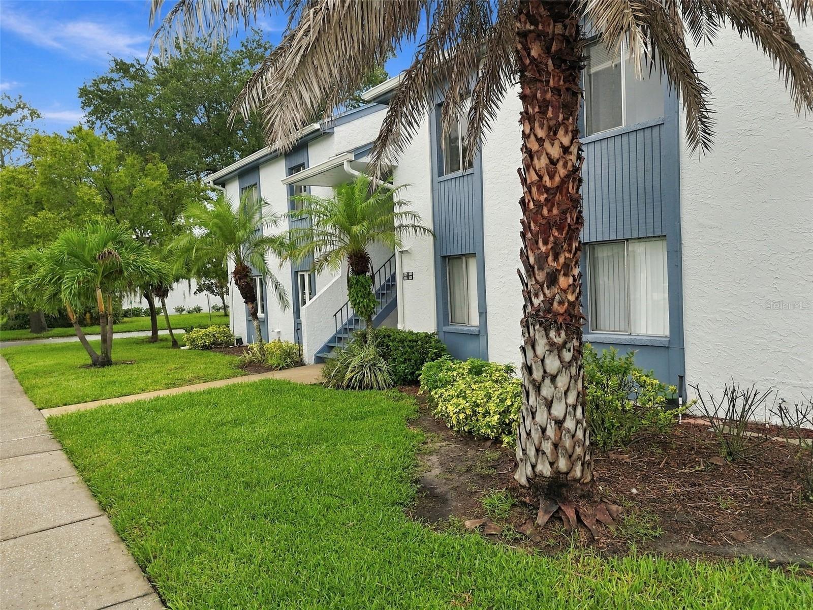 Condominium at 131 CYPRESS LN #131, OLDSMAR, photo 42 of 77