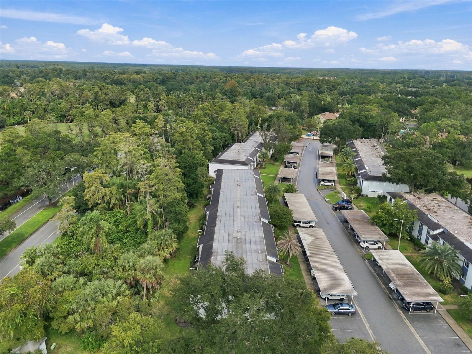 Condominium at 131 CYPRESS LN #131, OLDSMAR, photo 51 of 77