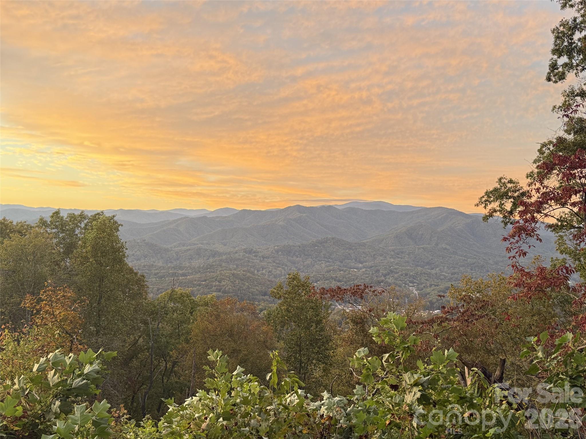 00 Breedlove Road