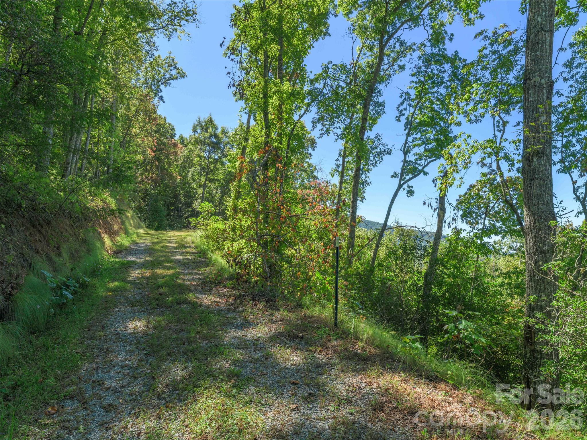 Lot at 00 Breedlove Road, Bryson City, photo 6 of 19