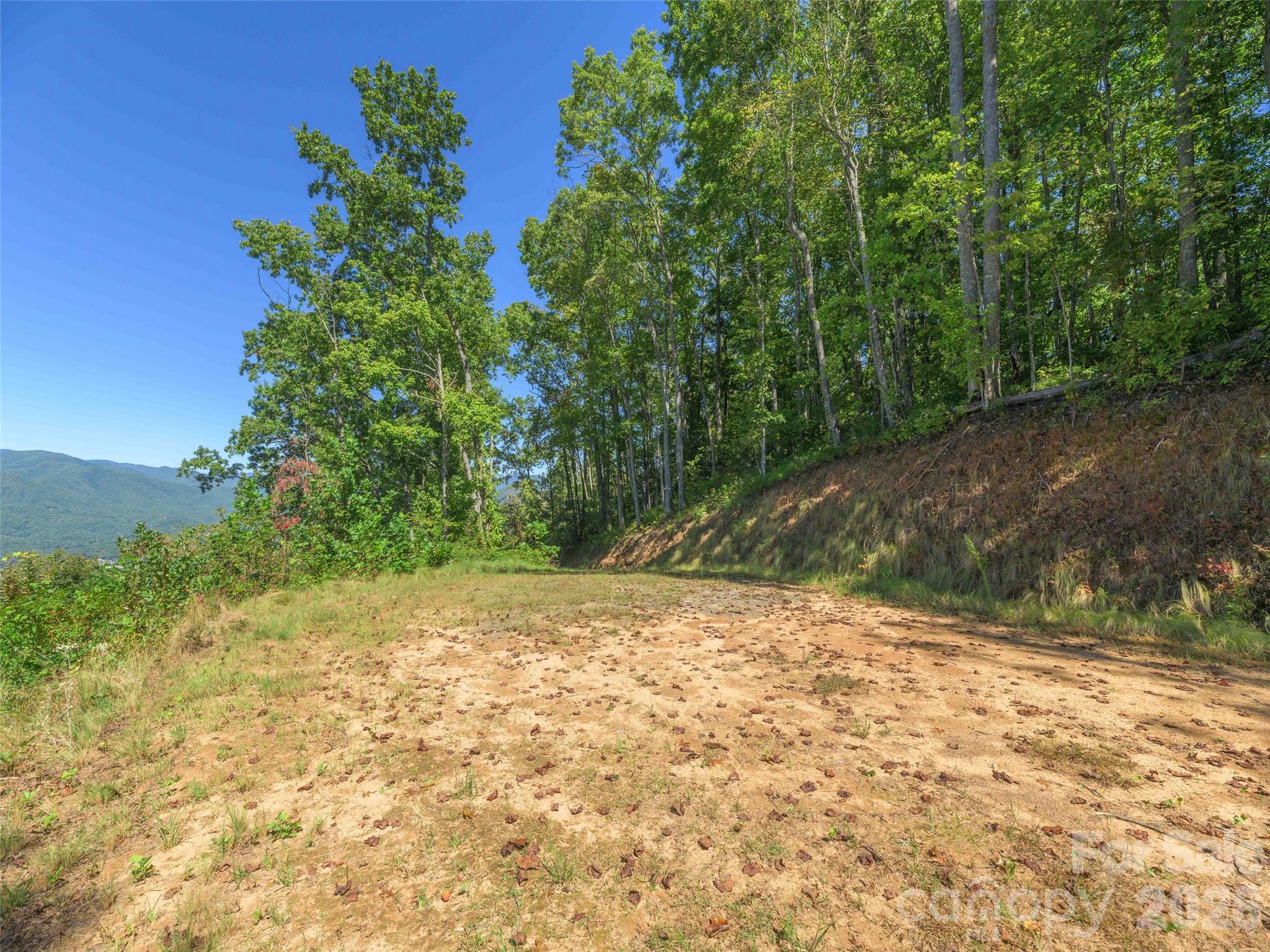 Lot at 00 Breedlove Road, Bryson City, photo 10 of 19