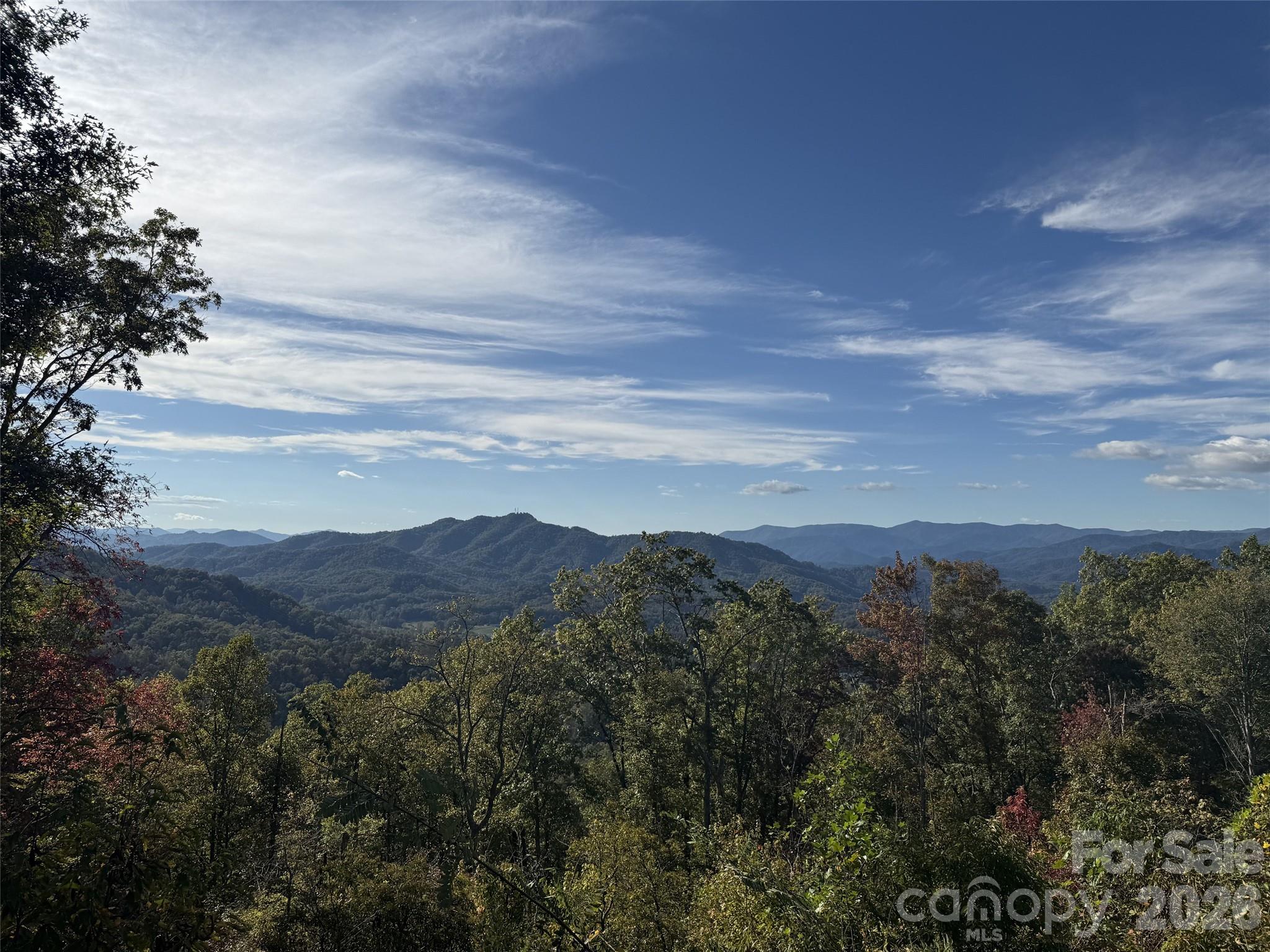 Lot at 00 Breedlove Road, Bryson City, photo 18 of 19