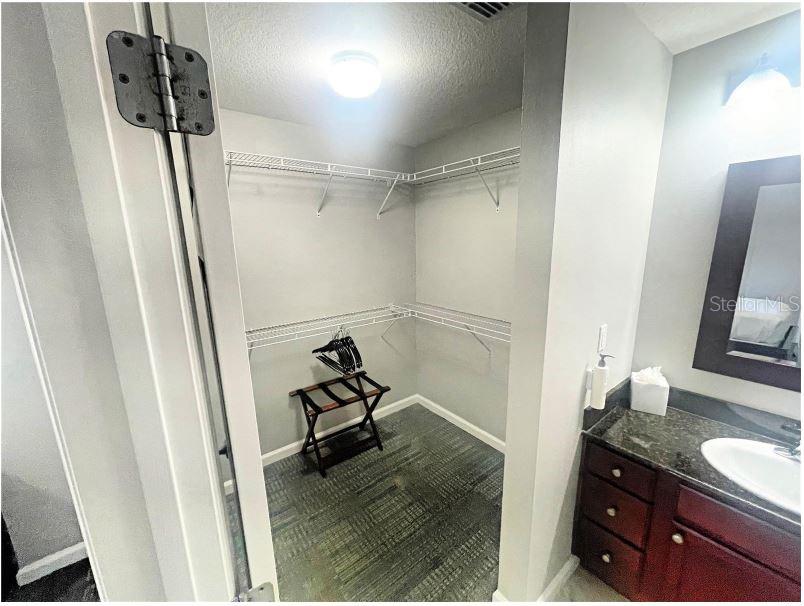 Walk-in closet Primary - 14501 GROVE RESORT AVE #1622, WINTER GARDEN