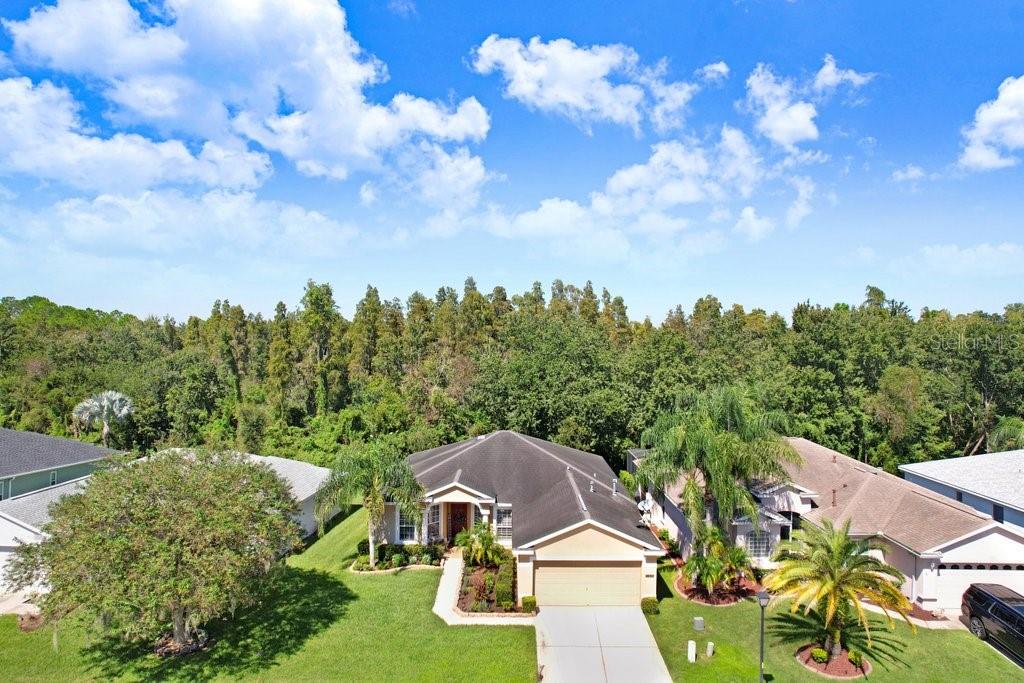 Ariel view of home - 3876 WHISTLEWOOD CIR, LAKELAND