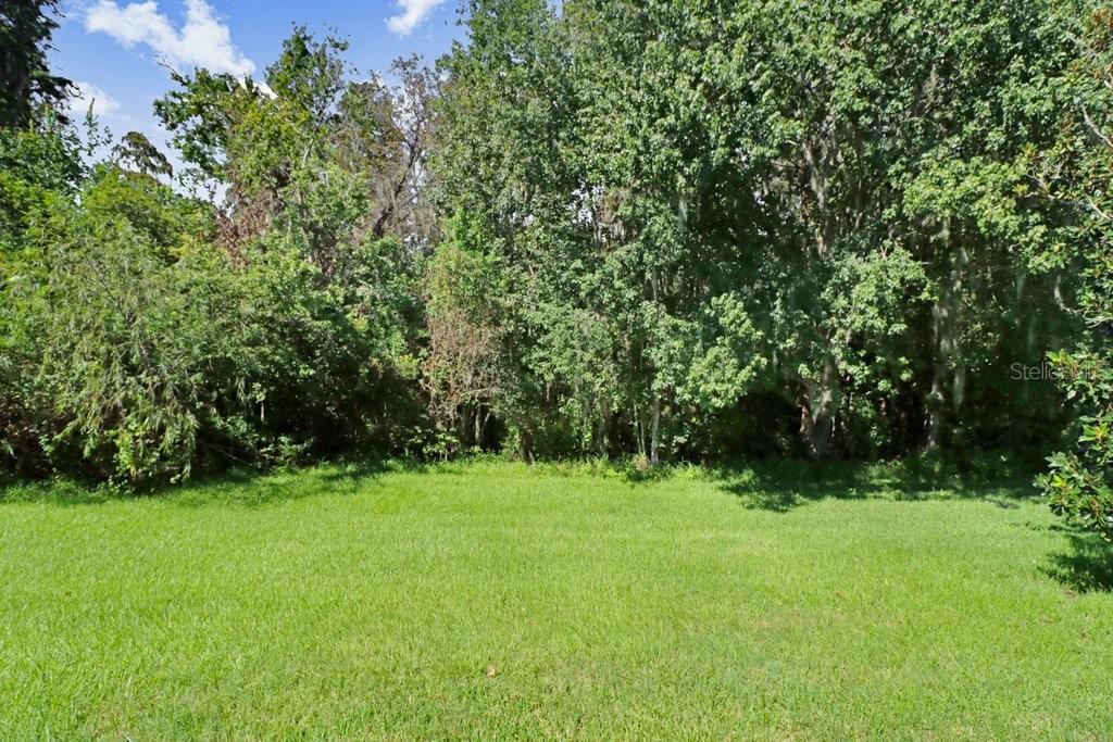 View of conservation area - 3876 WHISTLEWOOD CIR, LAKELAND