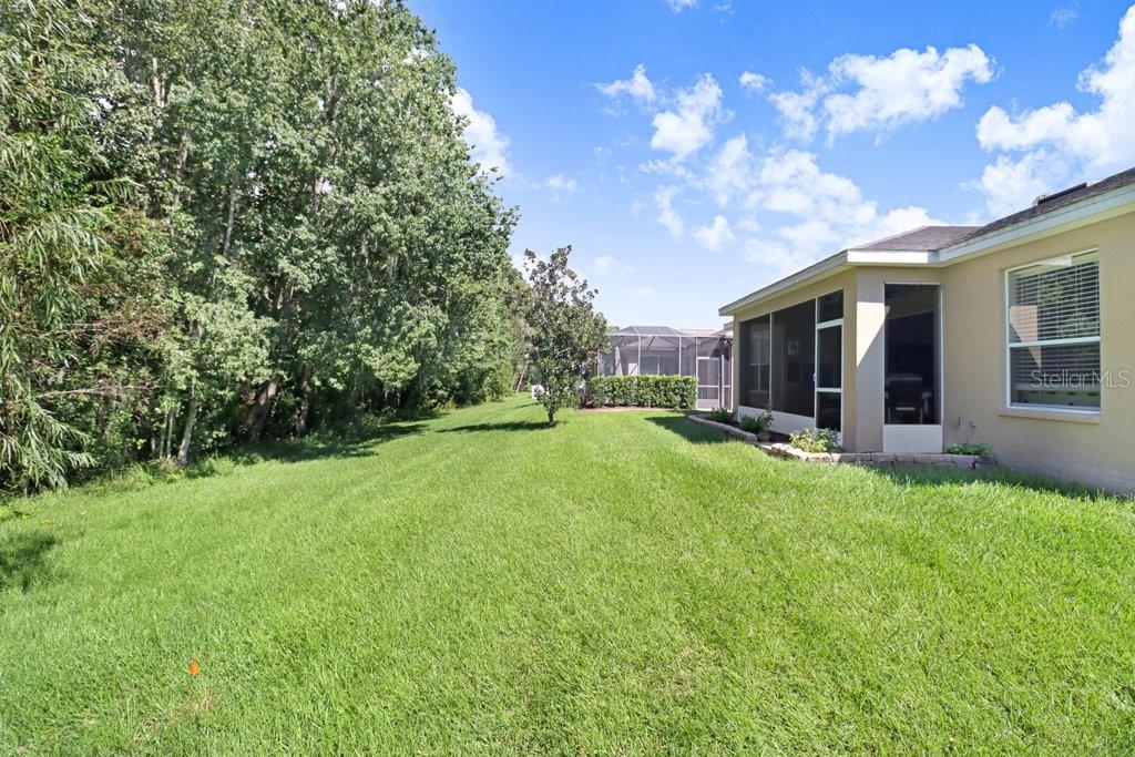 View of back of home and conservation area - 3876 WHISTLEWOOD CIR, LAKELAND