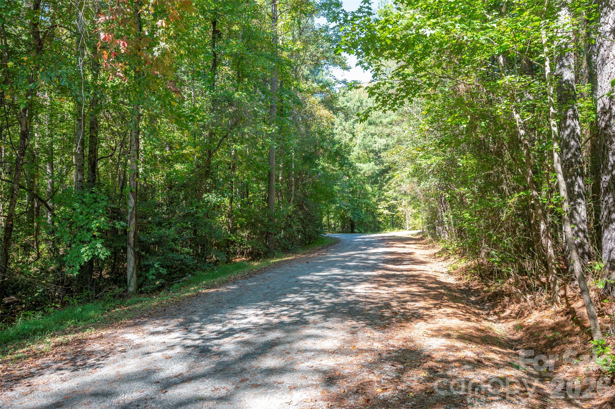 Acreage at 0 Laurel Knoll Trail, Landrum, photo 2 of 19