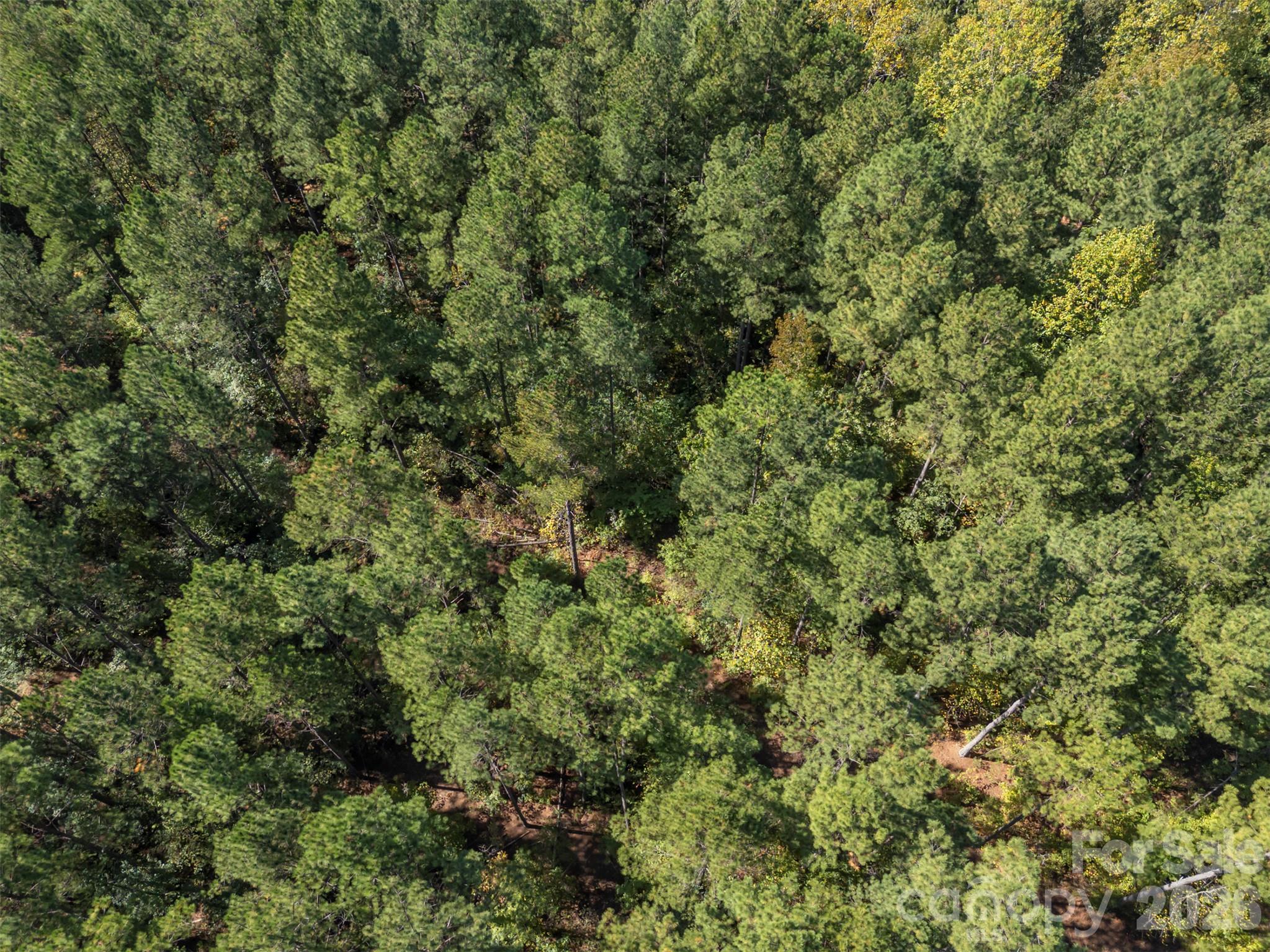 Acreage at 0 Laurel Knoll Trail, Landrum, photo 17 of 19