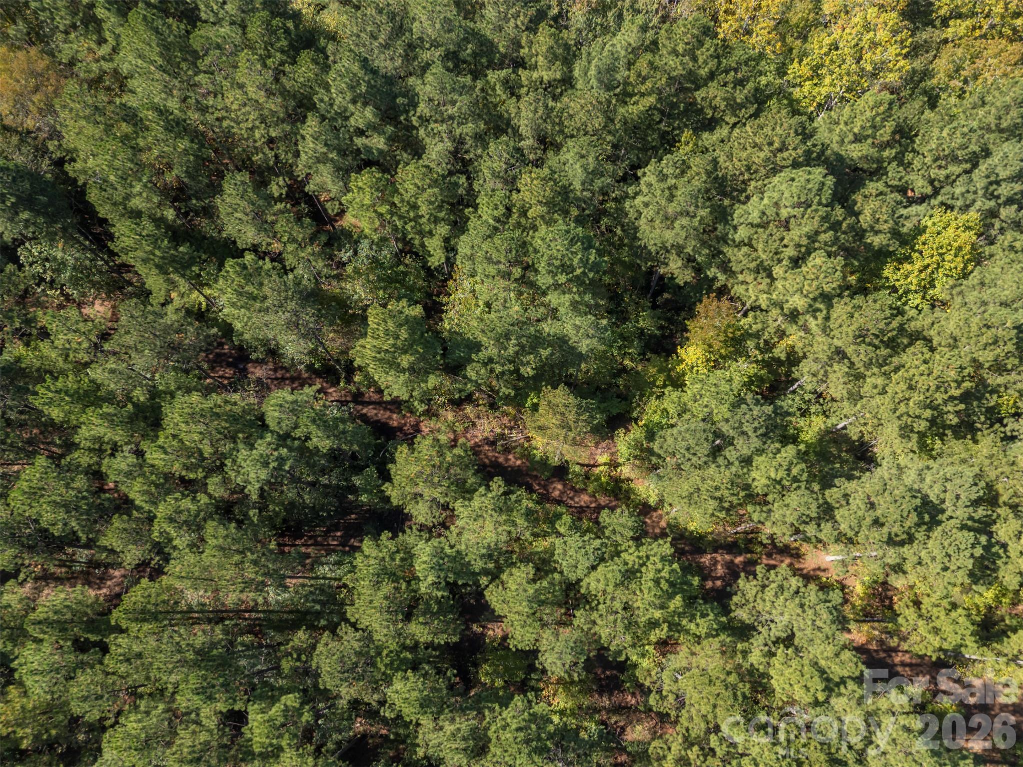 Acreage at 0 Laurel Knoll Trail, Landrum, photo 18 of 19