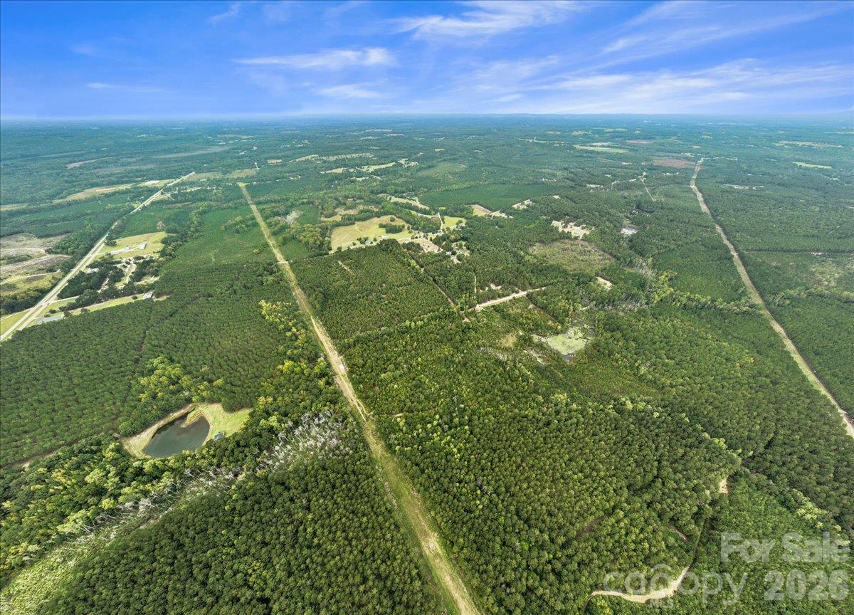 Acreage at 0000 McDuffie Lane, Cheraw, photo 3 of 10
