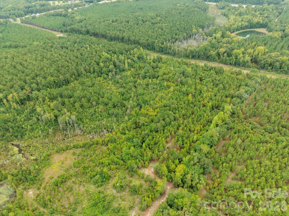 Acreage at 0000 McDuffie Lane, Cheraw, photo 4 of 10