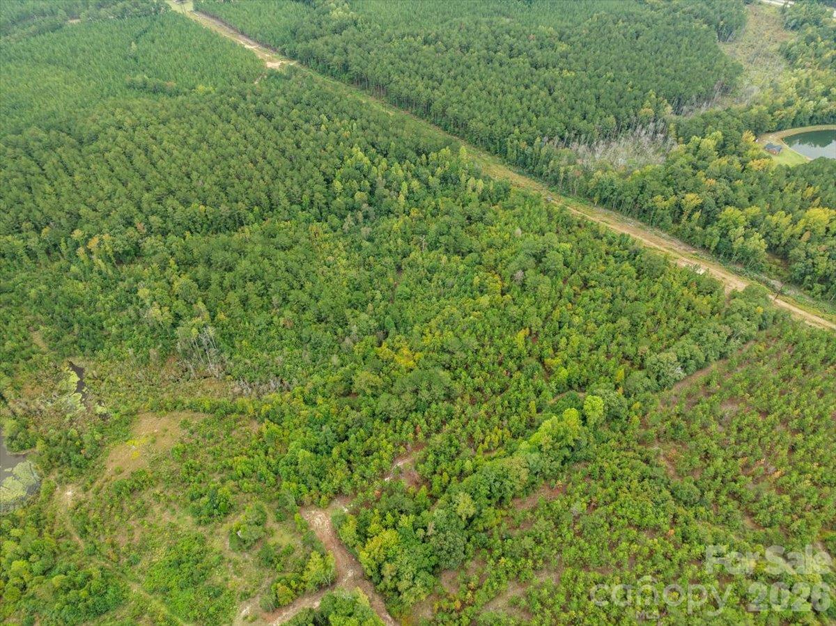 Acreage at 0000 McDuffie Lane, Cheraw, photo 5 of 10