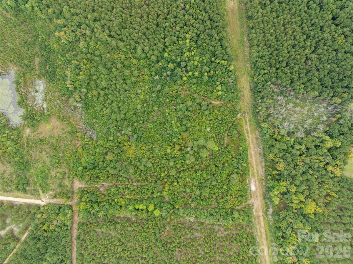 Acreage at 0000 McDuffie Lane, Cheraw, photo 7 of 10