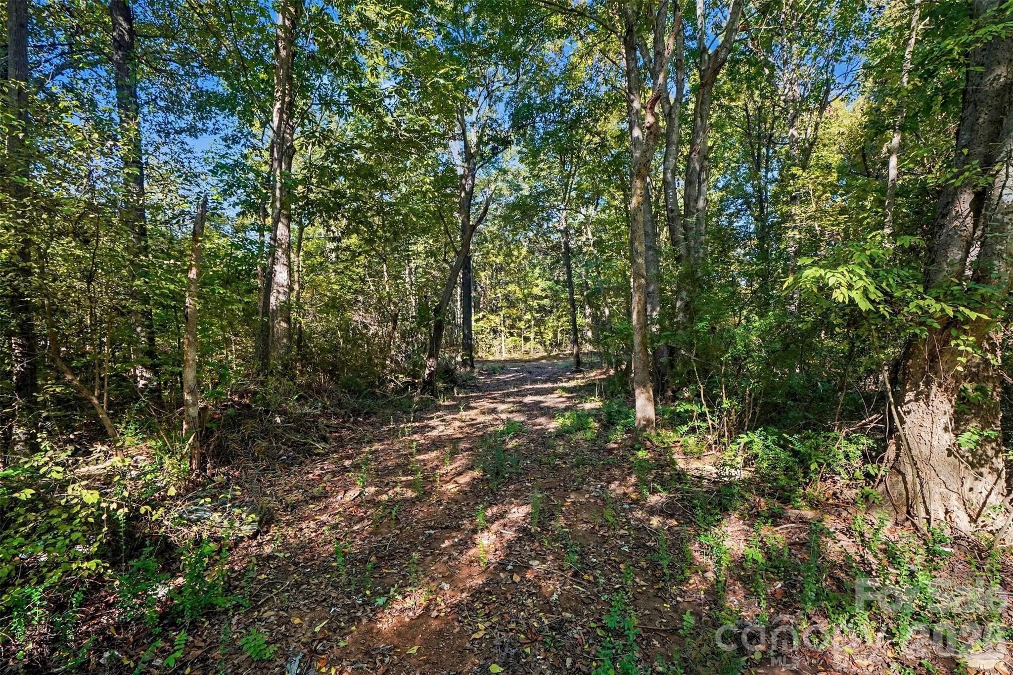 Further In to the Road - 1724 Willis Long Road, Monroe