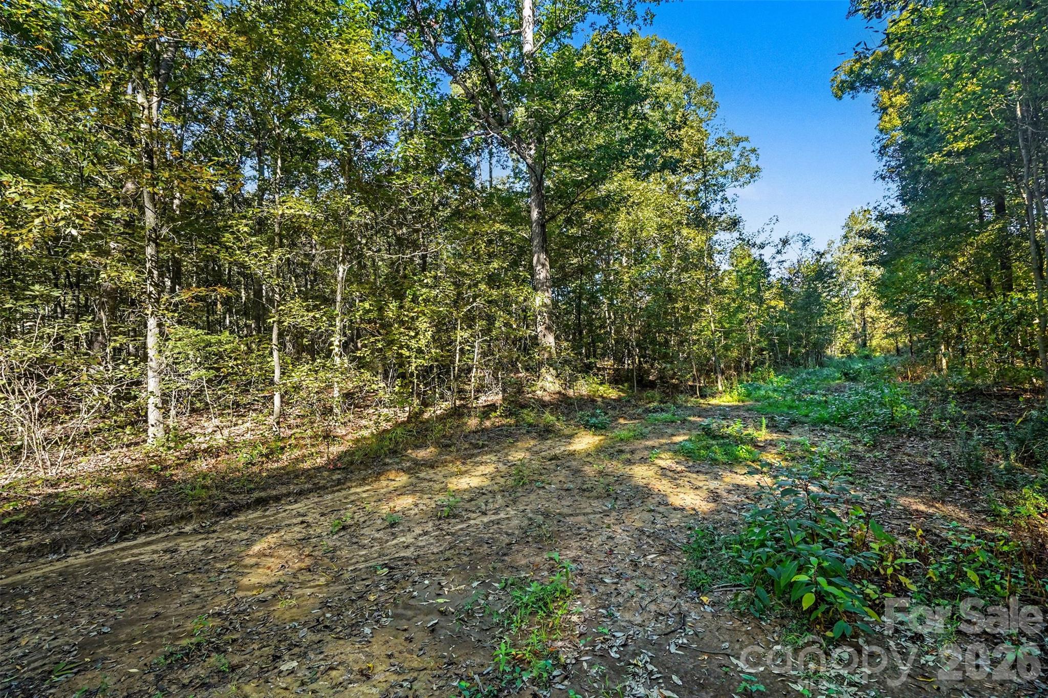 Rough Road Continues Facing North West - 1724 Willis Long Road, Monroe