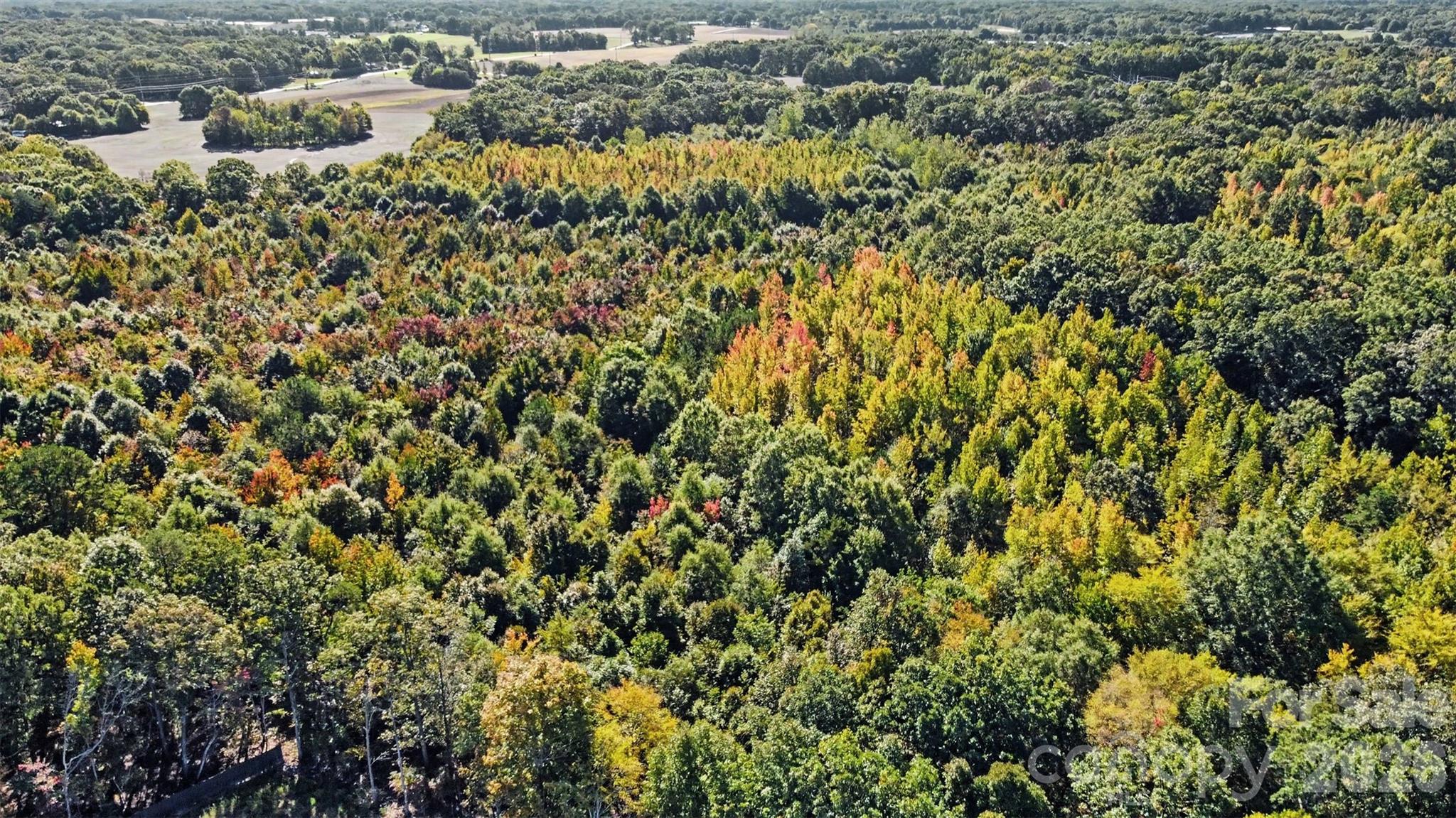 Lot at 1724 Willis Long Road, Monroe, photo 9 of 12