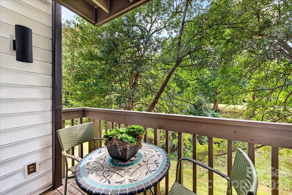 Main Floor Balcony Off Living Room - 3762 Winding Creek Lane, Charlotte