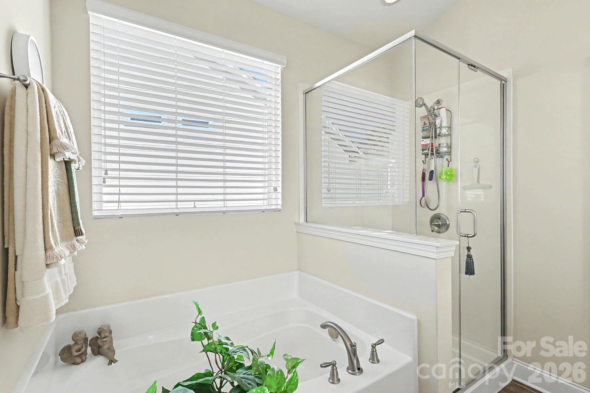 Single Family Residence at 9025 Carneros Creek Road, Charlotte, photo 20 of 48