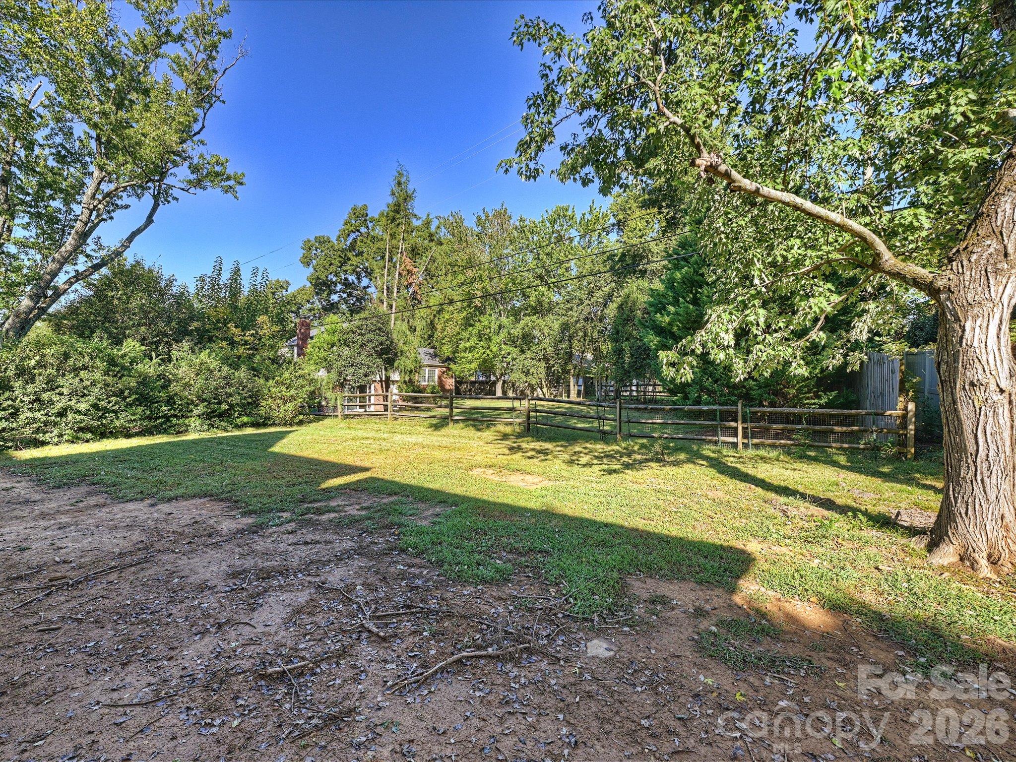 Backyard - 6509 Hazelton Drive, Charlotte