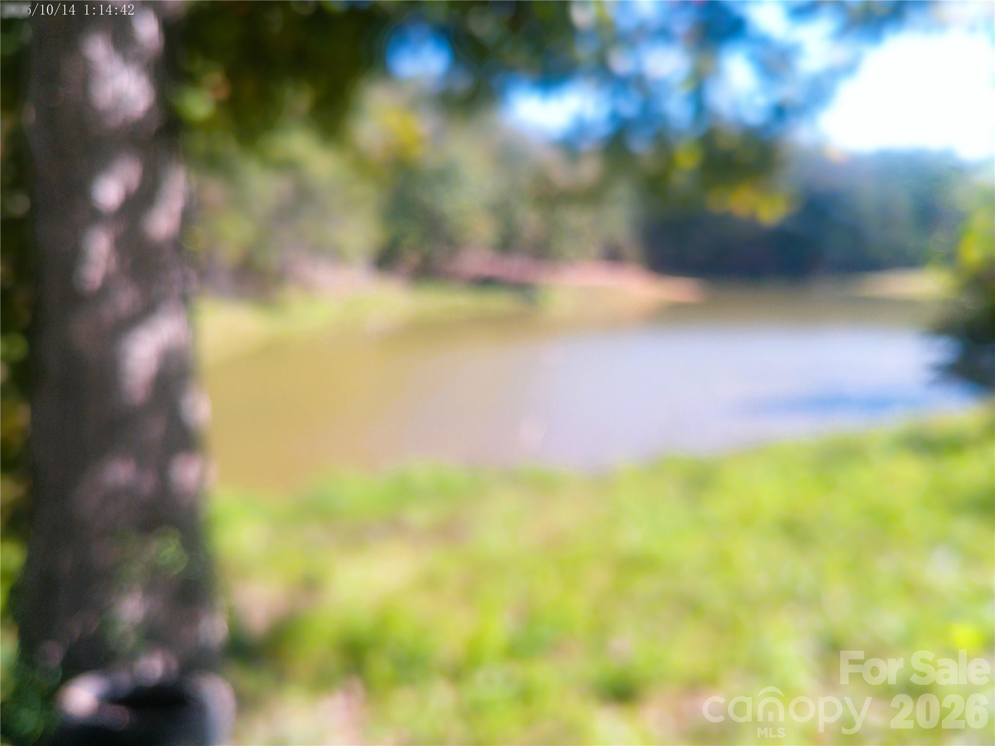 Lake view - 3159 Loomis Street, Lincolnton