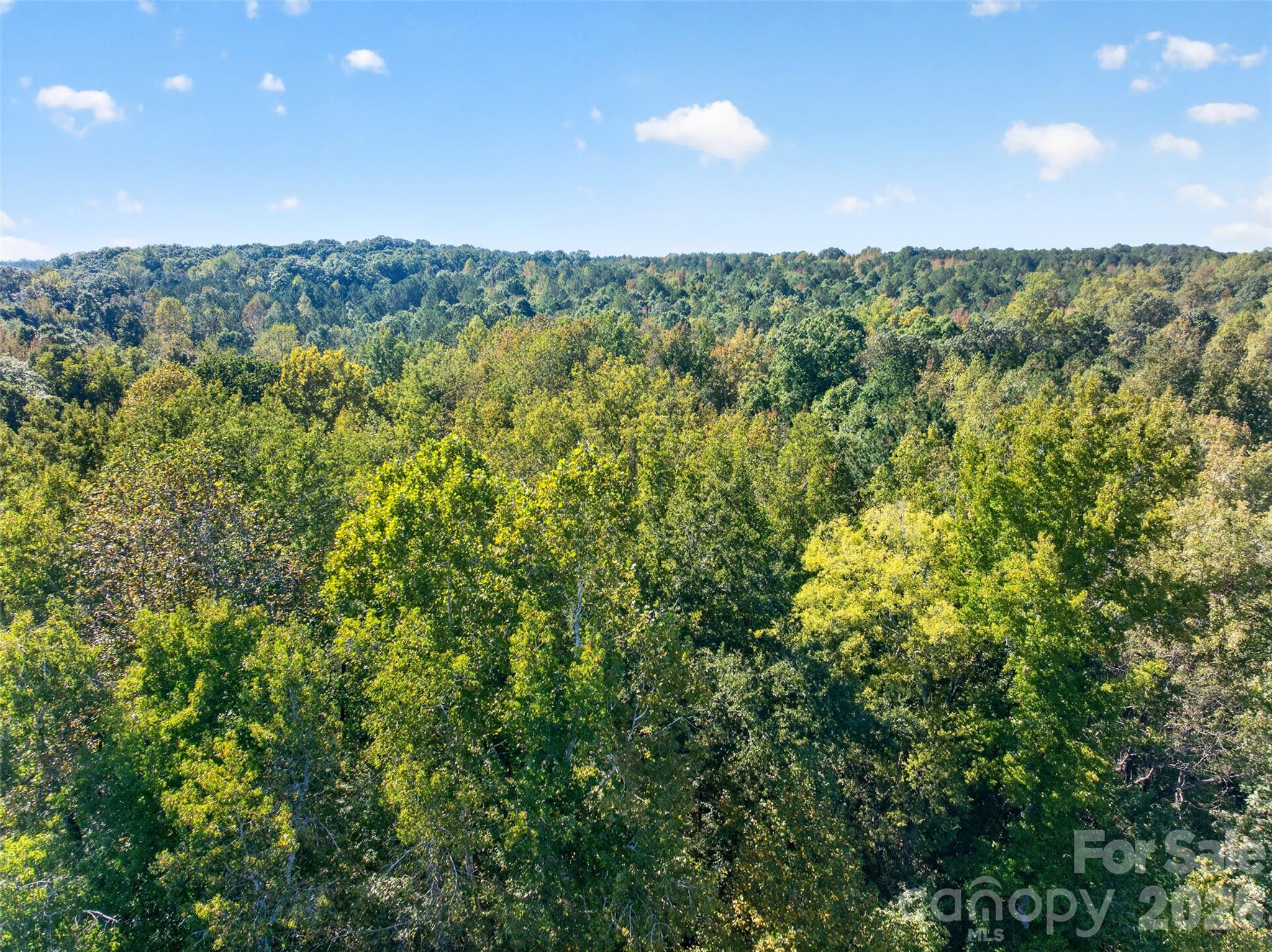 Acreage at 2 Pittman Road, Rock Hill, photo 18 of 30