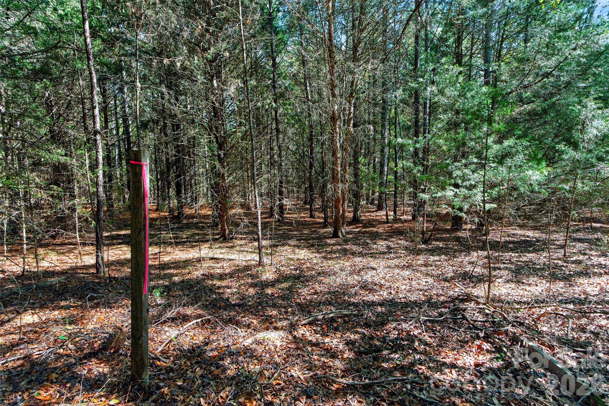 Acreage at 2 Pittman Road, Rock Hill, photo 21 of 30