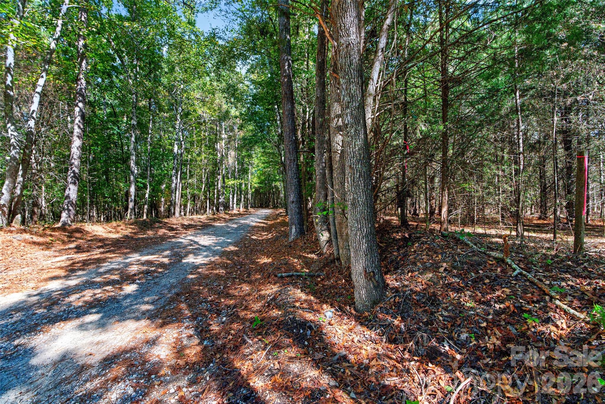 Acreage at 2 Pittman Road, Rock Hill, photo 22 of 30