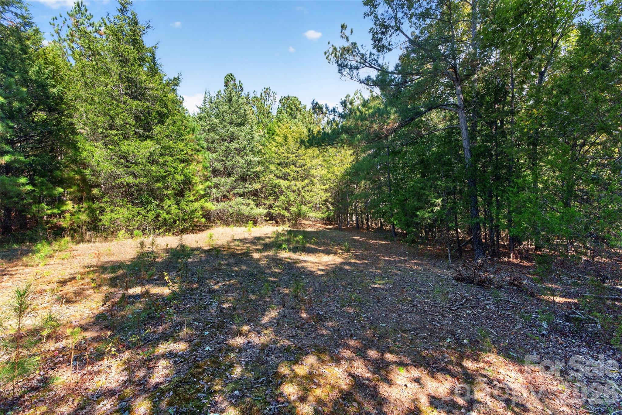 Acreage at 2 Pittman Road, Rock Hill, photo 26 of 30