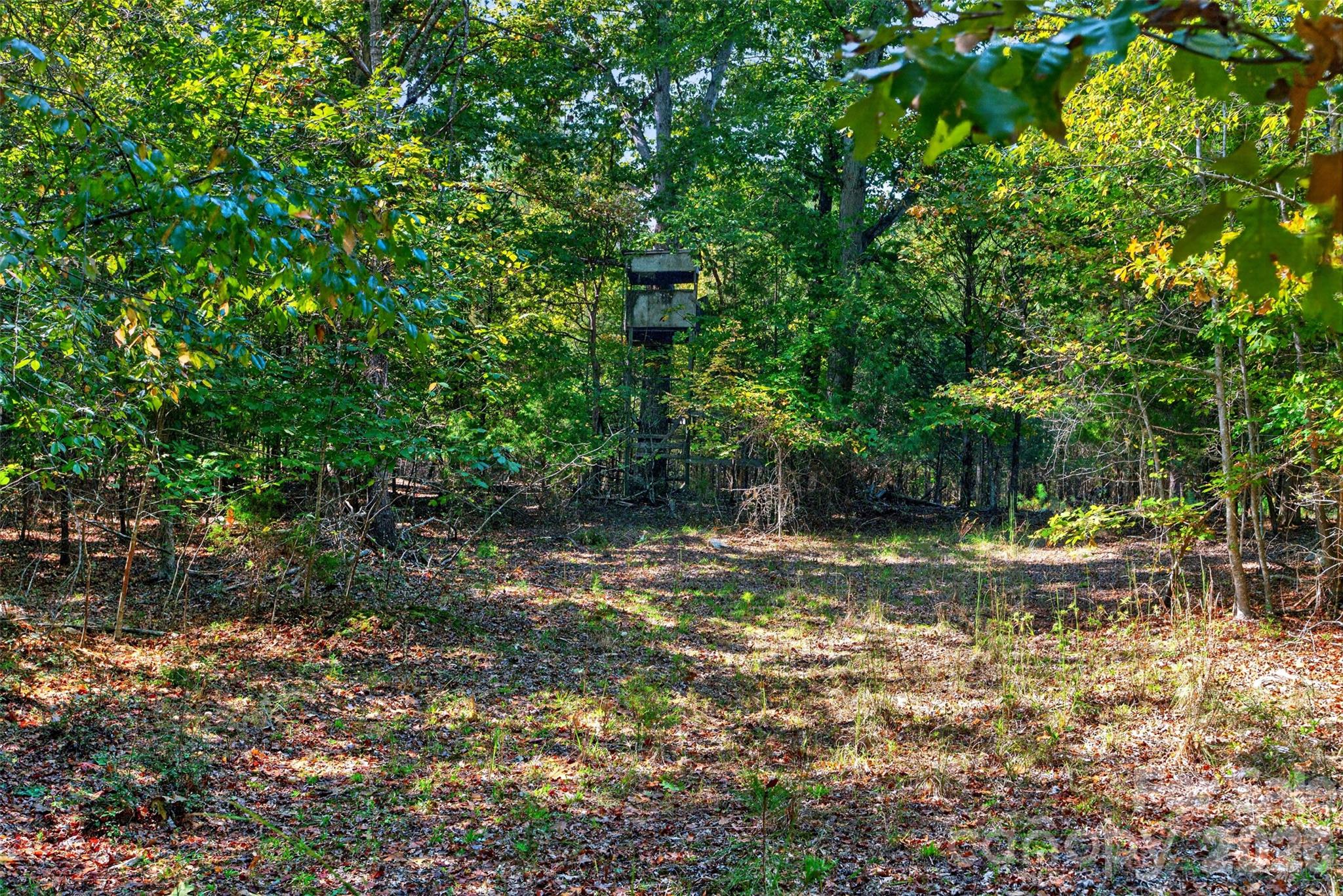 Acreage at 2 Pittman Road, Rock Hill, photo 27 of 30