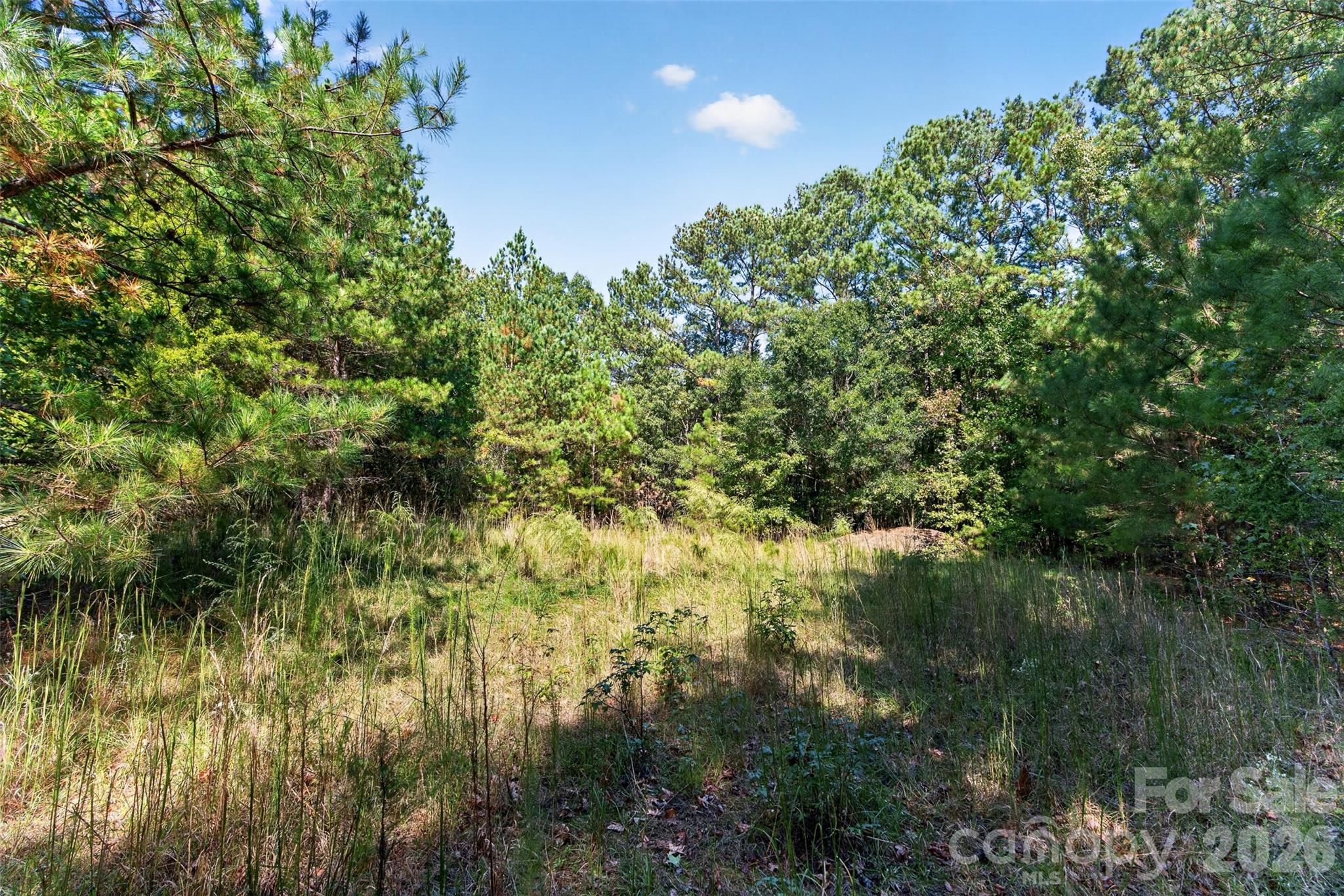 Acreage at 2 Pittman Road, Rock Hill, photo 28 of 30