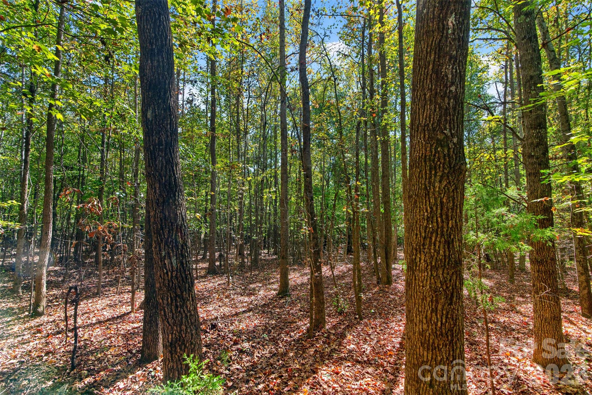 Acreage at 2 Pittman Road, Rock Hill, photo 29 of 30