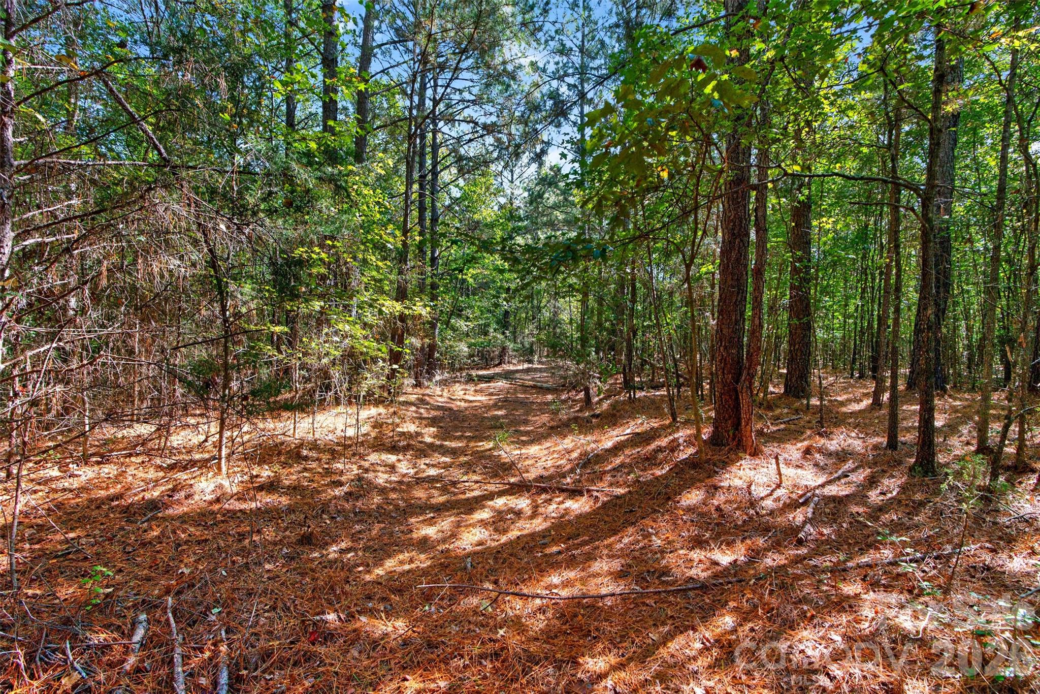 Acreage at 2 Pittman Road, Rock Hill, photo 30 of 30