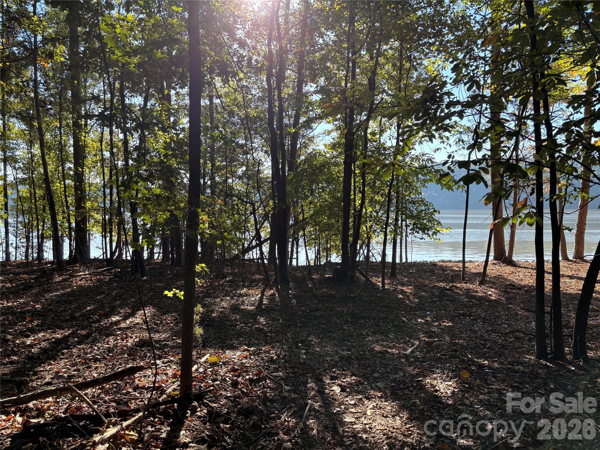 Lot at 1222 Great Egret Drive, Clover, photo 5 of 12