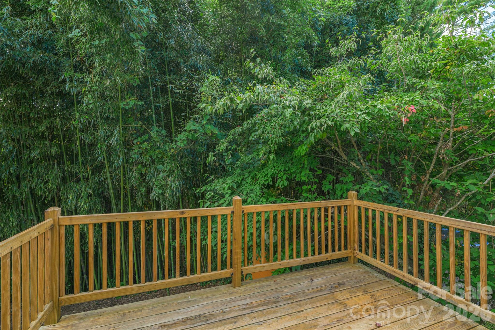 Single Family Residence at 17 Sheridan Road, Asheville, photo 11 of 44