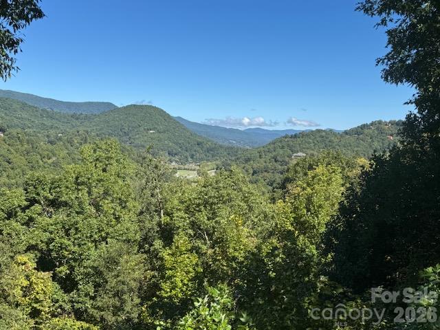 Townhouse at 927 Henry Dingus Way, Maggie Valley, photo 12 of 27