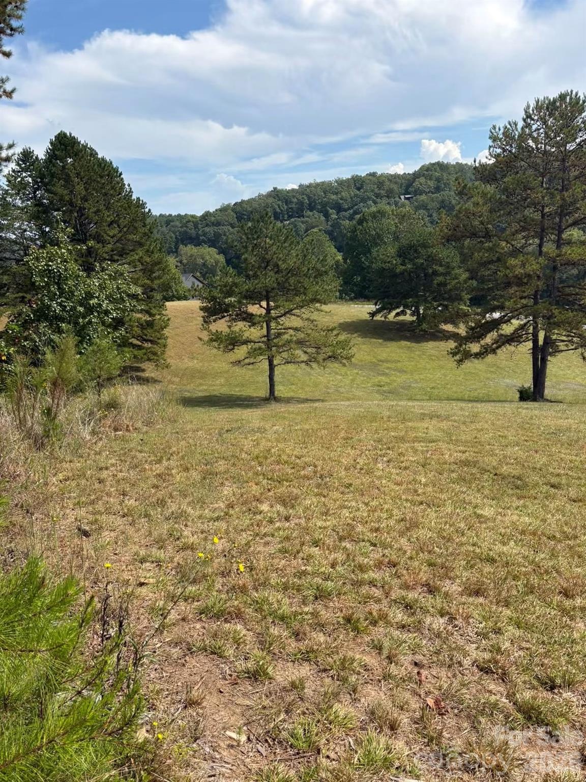 Lot at 91 Meadows Station Drive, Nebo, photo 11 of 16