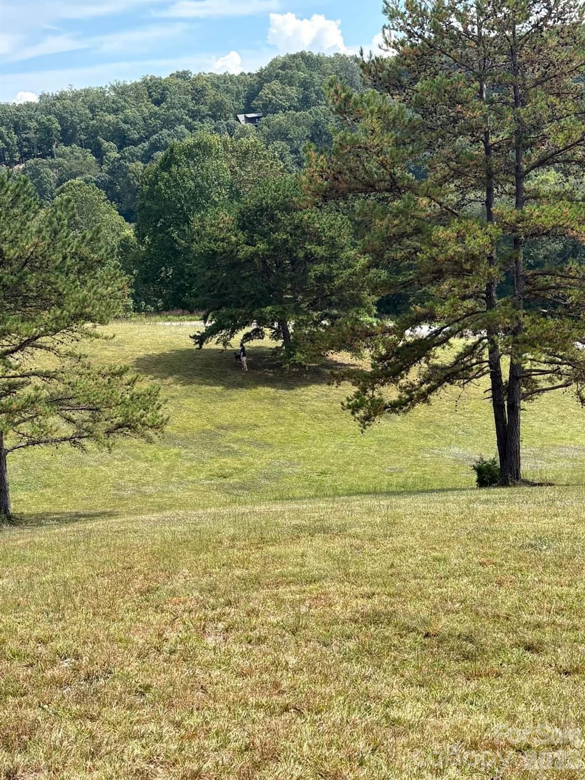 Lot at 91 Meadows Station Drive, Nebo, photo 15 of 16