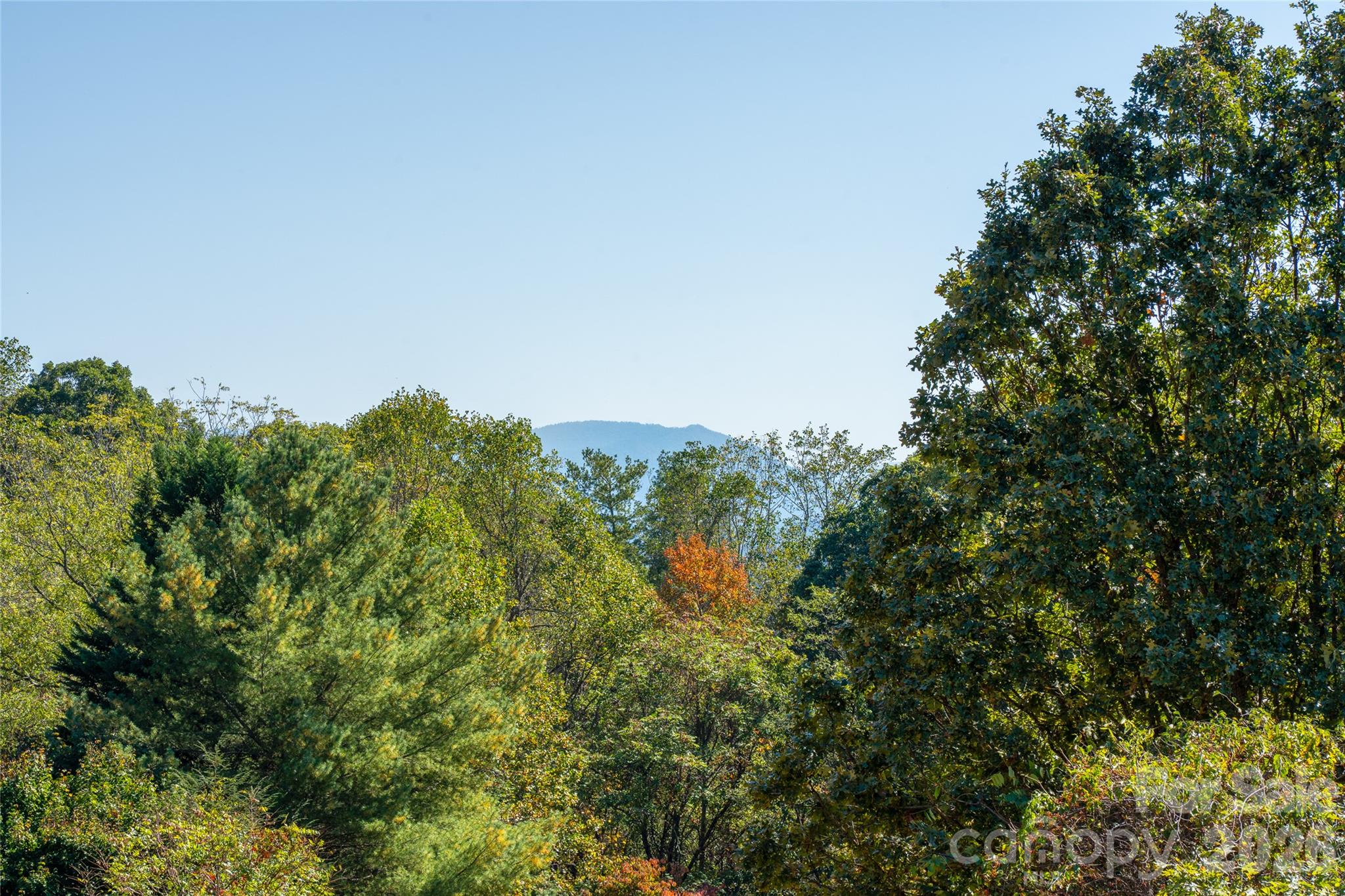 Beautiful mountain views! - 117 Spivey Mountain Road, Asheville