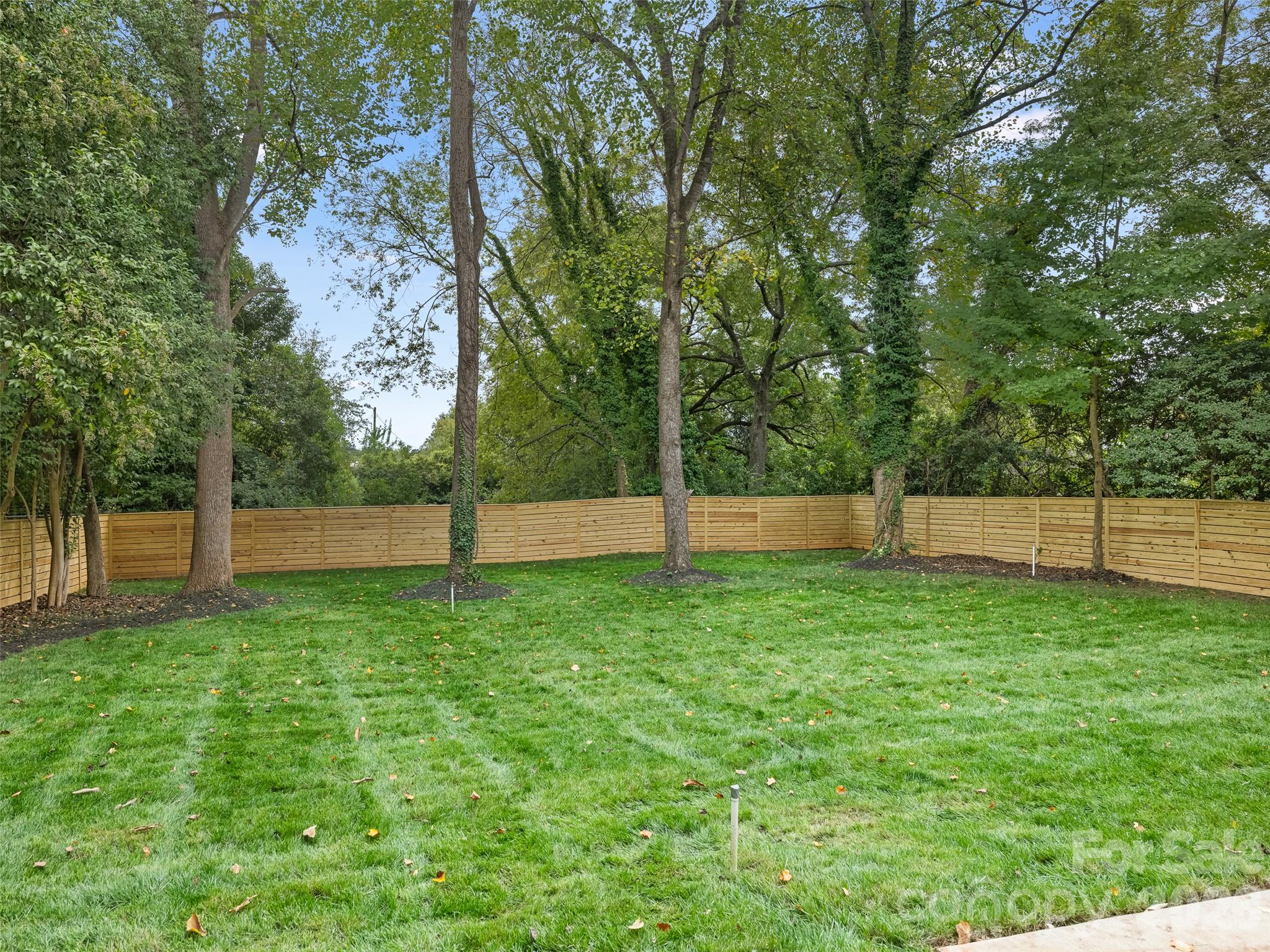Back Yard - 1314 Richland Drive, Charlotte