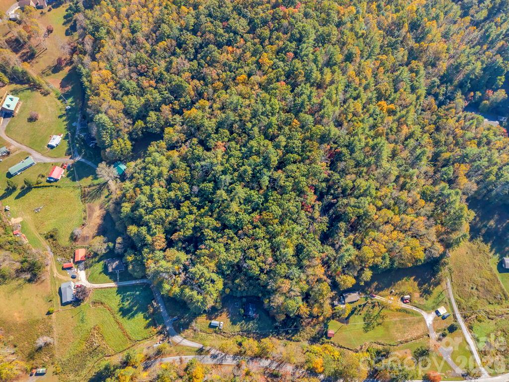 Acreage at 000 Hamburg Road, Bakersville, photo 2 of 24
